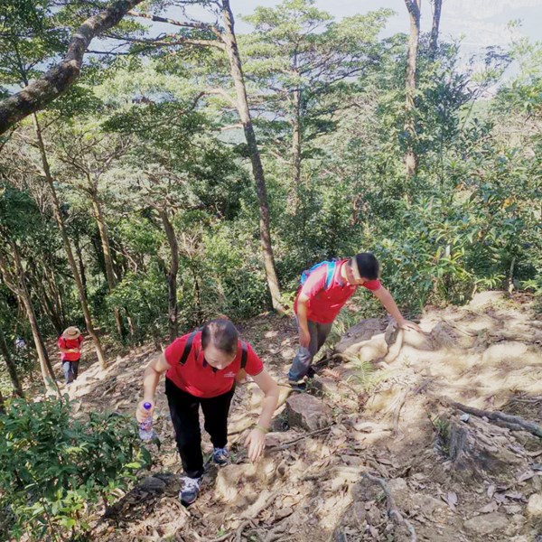 直走山顶.jpg 直走山顶.jpg